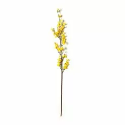 Top 10 🛒 12 Pack: Yellow Forsythia Branch Spray by Ashland® ⭐ -Michaels Store MP205308 21