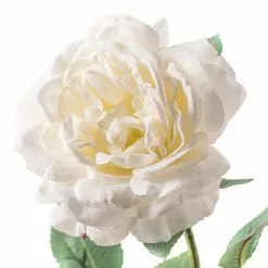 Top 10 ⭐ 12 Pack: White Sophia Rose Stem by Ashland® 🔔 -Michaels Store MP213470 20