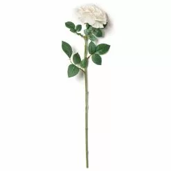 Top 10 ⭐ 12 Pack: White Sophia Rose Stem by Ashland® 🔔 -Michaels Store MP213470 21