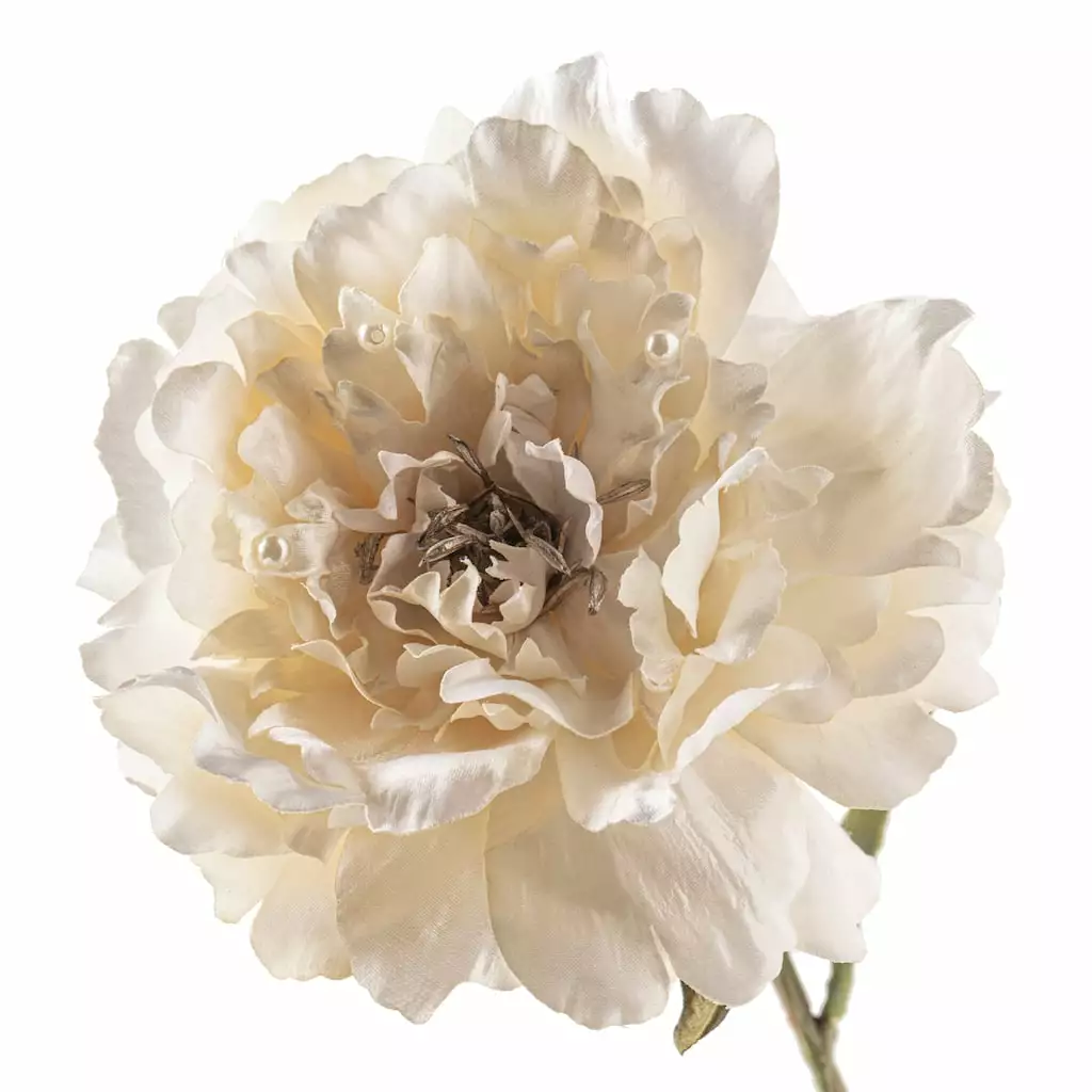 Cheap ⭐ 12 Pack: Cream Pearled Peony Stem by Ashland® 💯 7 Cheap ⭐ 12 Pack: Cream Pearled Peony Stem by Ashland® 💯 - Image 5