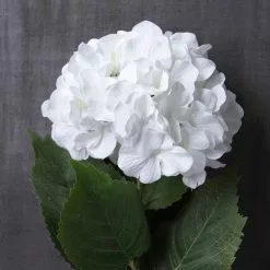 Outlet 😉 12 Pack: Classic Traditions™ White Hydrangea Stem by Ashland® ✨ -Michaels Store MP213498 22