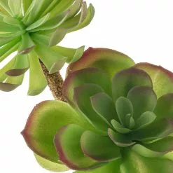 Budget ⌛ 12 Pack: Assorted Red Tipped Succulent Pick by Ashland® 🎁 -Michaels Store MP229986 20