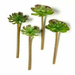 Budget ⌛ 12 Pack: Assorted Red Tipped Succulent Pick by Ashland® 🎁 -Michaels Store MP229986 21