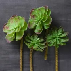 Budget ⌛ 12 Pack: Assorted Red Tipped Succulent Pick by Ashland® 🎁 -Michaels Store MP229986 22