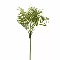 Top 10 🤩 12 Pack: Green Palm Spray by Ashland® 🤩