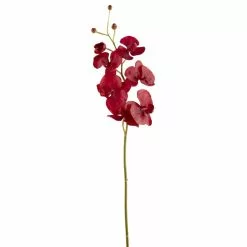 Best Pirce ✨ 6 Pack: Red Orchid Stem by Ashland® 🥰