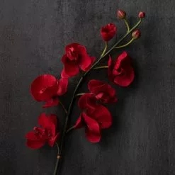 Best Pirce ✨ 6 Pack: Red Orchid Stem by Ashland® 🥰 -Michaels Store MP230911 22