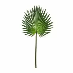 Flash Sale ✔️ 6 Pack: Green Fan Palm Stem by Ashland® ✔️ -Michaels Store MP230923 21