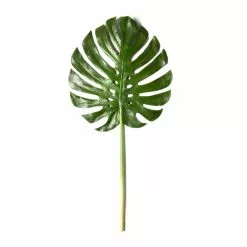 Budget 🎁 6 Pack: Green Monstera Leaf Stem by Ashland® 🔔 -Michaels Store MP230926 21