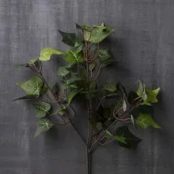 Cheap 🧨 24 Pack: Floral Essentials English Ivy Spray by Ashland® ⭐ -Michaels Store MP239706 22