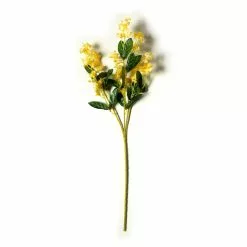 Flash Sale ✔️ 12 Pack: Gold Double Baby's Breath Stem by Ashland® ⭐ -Michaels Store MP240091 21
