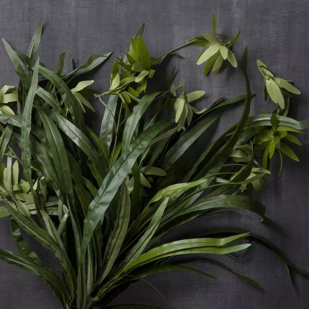 Promo 💯 12 Pack: Green Spider Bush by Ashland® 🛒 4 Promo 💯 12 Pack: Green Spider Bush by Ashland® 🛒 - Image 2