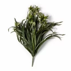 Promo 💯 12 Pack: Green Spider Bush by Ashland® 🛒 8 Promo 💯 12 Pack: Green Spider Bush by Ashland® 🛒 -Michaels Store MP240812 21