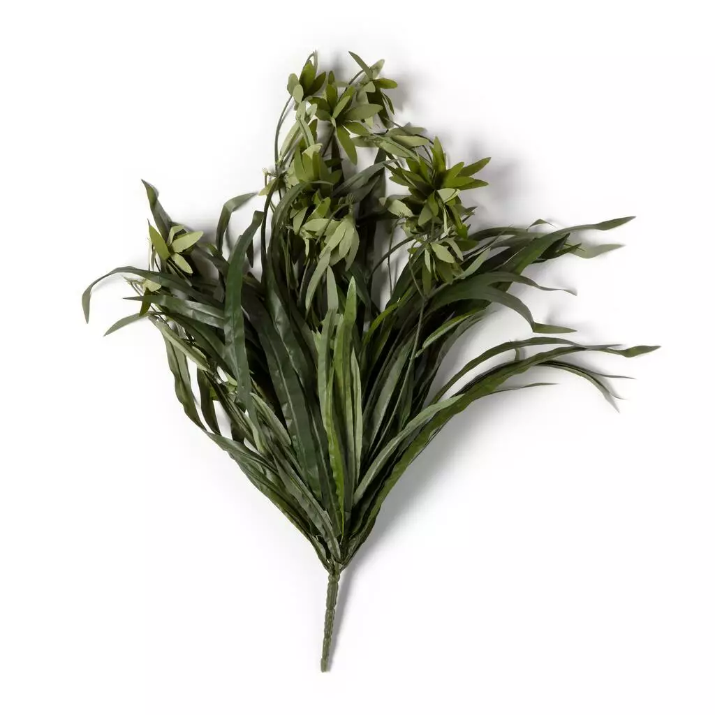 Promo 💯 12 Pack: Green Spider Bush by Ashland® 🛒 5 Promo 💯 12 Pack: Green Spider Bush by Ashland® 🛒 - Image 3