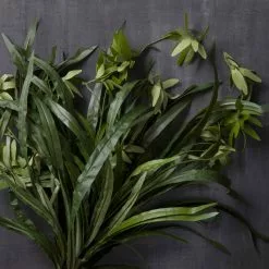 Promo 💯 12 Pack: Green Spider Bush by Ashland® 🛒 9 Promo 💯 12 Pack: Green Spider Bush by Ashland® 🛒 -Michaels Store MP240812 22