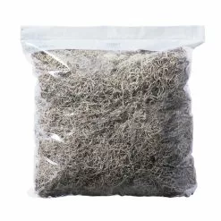 Best deal 👏 16 Pack: Natural Spanish Moss by Ashland® ✨