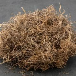 Best deal 👏 16 Pack: Natural Spanish Moss by Ashland® ✨ -Michaels Store MP254250 21