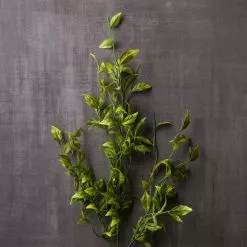 New ⌛ 12 Pack: Green Sinojackia Leaf Spray by Ashland® 🧨 -Michaels Store MP263000 22