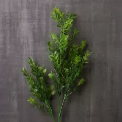 Best Sale ✨ 12 Pack: Sweet Grass Stem by Ashland® ✔️ -Michaels Store MP263020 22