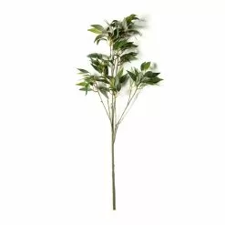 Best Sale 🌟 12 Pack: Green Osmanthus Stem by Ashland® 🔔 -Michaels Store MP263723 21