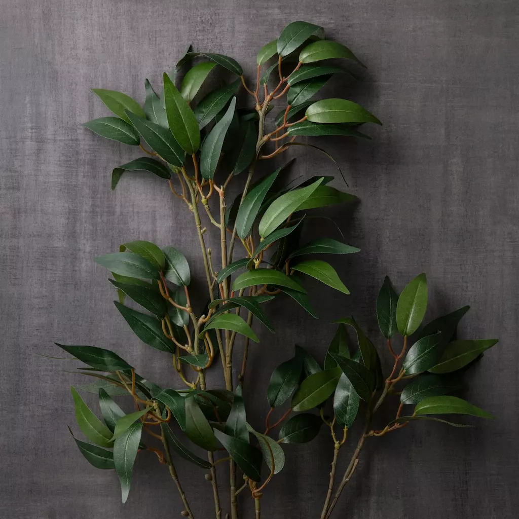 Best Sale 🌟 12 Pack: Green Osmanthus Stem by Ashland® 🔔 6 Best Sale 🌟 12 Pack: Green Osmanthus Stem by Ashland® 🔔 - Image 4