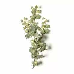 Cheap ✔️ 12 Pack: Green English Ivy Spray by Ashland® 👏 -Michaels Store MP265880 21