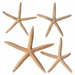 Best deal 🌟 6 Packs: 4 ct. (24 total) White Glitter Starfish by Ashland® ⌛