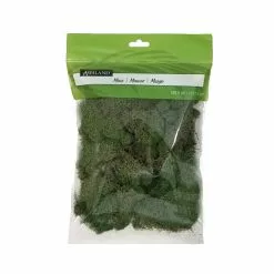 Wholesale ❤️ 12 Pack: Basil Green Reindeer Moss by Ashland® 😍