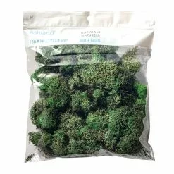 Wholesale ❤️ 12 Pack: Basil Green Reindeer Moss by Ashland® 😍 -Michaels Store MP284152 20