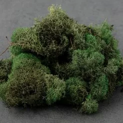 Wholesale ❤️ 12 Pack: Basil Green Reindeer Moss by Ashland® 😍 -Michaels Store MP284152 21