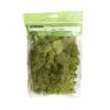 Cheap 🔔 12 Pack: Spring Green Reindeer Moss by Ashland® 👍 -Michaels Store MP284153 1