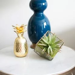 Cheap 🔔 12 Pack: Spring Green Reindeer Moss by Ashland® 👍 -Michaels Store MP284153 3