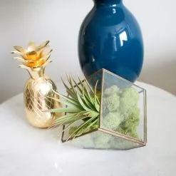 Cheap 🔔 12 Pack: Spring Green Reindeer Moss by Ashland® 👍 -Michaels Store MP284153 4