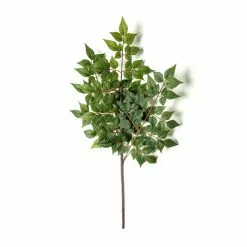 Coupon ❤️ 24 Pack: Green China Dollar Spray by Ashland® ❤️ -Michaels Store MP292511 21