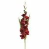Promo 🎁 12 Pack: Dark Red Gladiolus Stem by Ashland® ✔️ -Michaels Store MP297027 1