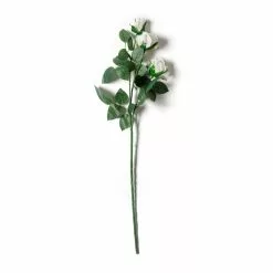 Coupon 🎁 12 Pack: Ivory Sweetheart Rose Spray by Ashland® 😍 9 Coupon 🎁 12 Pack: Ivory Sweetheart Rose Spray by Ashland® 😍 -Michaels Store MP297039 21