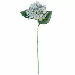 Budget 😍 12 Pack: Blue & Green Hydrangea Stem by Ashland® 😉