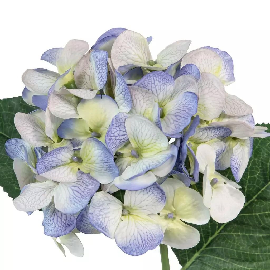 Budget π 12 Pack: Indigo & Green Hydrangea Stem by Ashland® 𧨠4 Budget π 12 Pack: Indigo & Green Hydrangea Stem by Ashland® 𧨠- Image 2