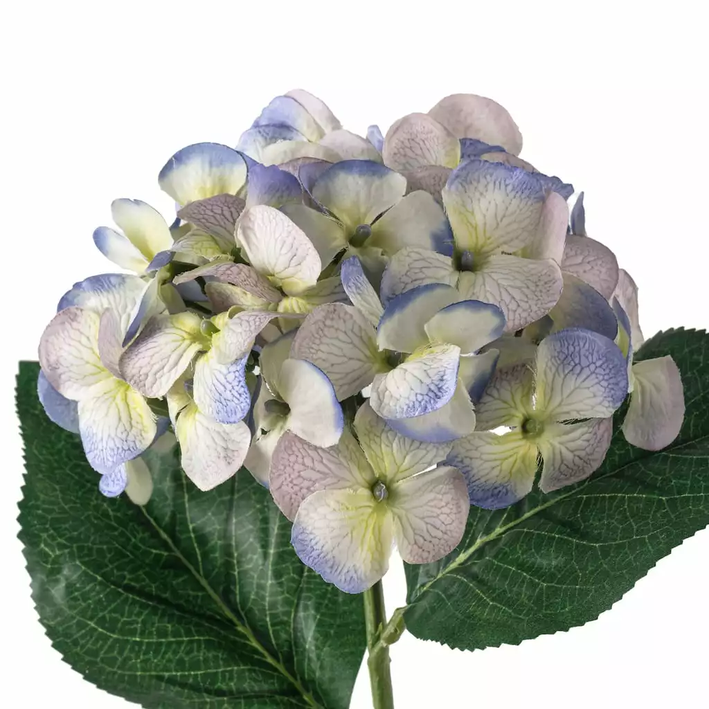 Budget π 12 Pack: Indigo & Green Hydrangea Stem by Ashland® 𧨠6 Budget π 12 Pack: Indigo & Green Hydrangea Stem by Ashland® 𧨠- Image 4