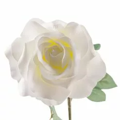 Best reviews of 🎁 16 Pack: Ivory Princess Rose Stem by Ashland® 👏 -Michaels Store MP297096 20