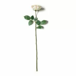 Best reviews of ✔️ 12 Pack: White Princess Rose Stem by Ashland® 🔔 -Michaels Store MP297097 21