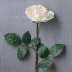 Best reviews of ✔️ 12 Pack: White Princess Rose Stem by Ashland® 🔔 -Michaels Store MP297097 22