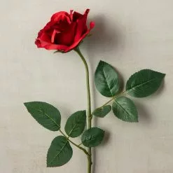 Best reviews of ✔️ 12 Pack: Dark Red Princess Rose by Ashland® ⭐ -Michaels Store MP297101 25