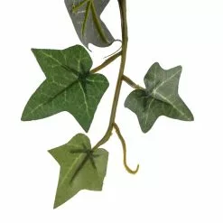 Outlet 😍 12 Pack: Assorted Mini English Ivy Bush by Ashland® 🔥 -Michaels Store MP308569 20