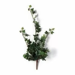 Outlet 😍 12 Pack: Assorted Mini English Ivy Bush by Ashland® 🔥 -Michaels Store MP308569 21