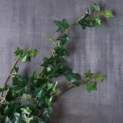 Outlet 😍 12 Pack: Assorted Mini English Ivy Bush by Ashland® 🔥 -Michaels Store MP308569 22