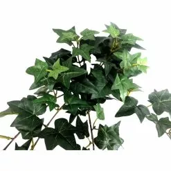 Outlet 😍 12 Pack: Assorted Mini English Ivy Bush by Ashland® 🔥 -Michaels Store MP308569 3