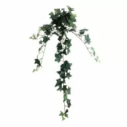 Outlet 😍 12 Pack: Assorted Mini English Ivy Bush by Ashland® 🔥 -Michaels Store MP308569 5