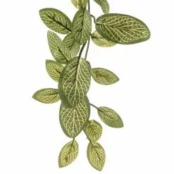 Buy 🔥 8 Pack: Fittonia Hanging Bush by Ashland® ✨ -Michaels Store MP308882 20