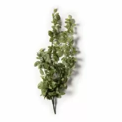 Buy 🔥 8 Pack: Fittonia Hanging Bush by Ashland® ✨ -Michaels Store MP308882 21